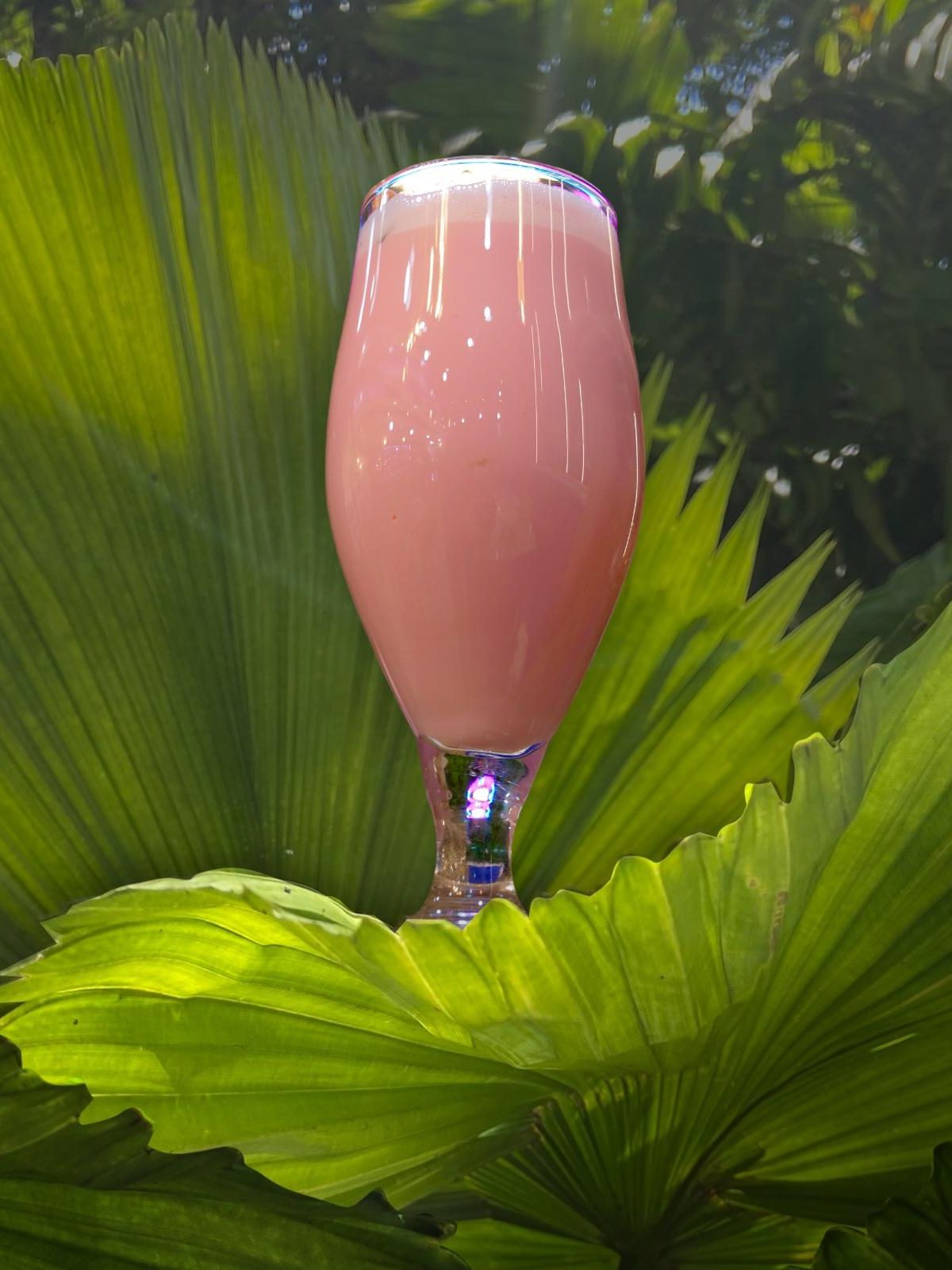LASSI ROSE